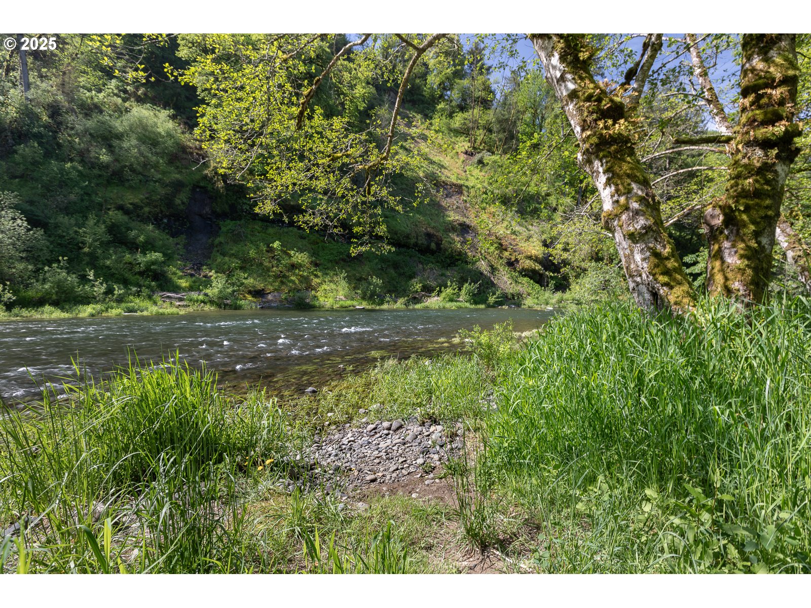 24750 River Bend Road Beaver, OR 97108 - Photo 38 of 47 Gallery Image 38