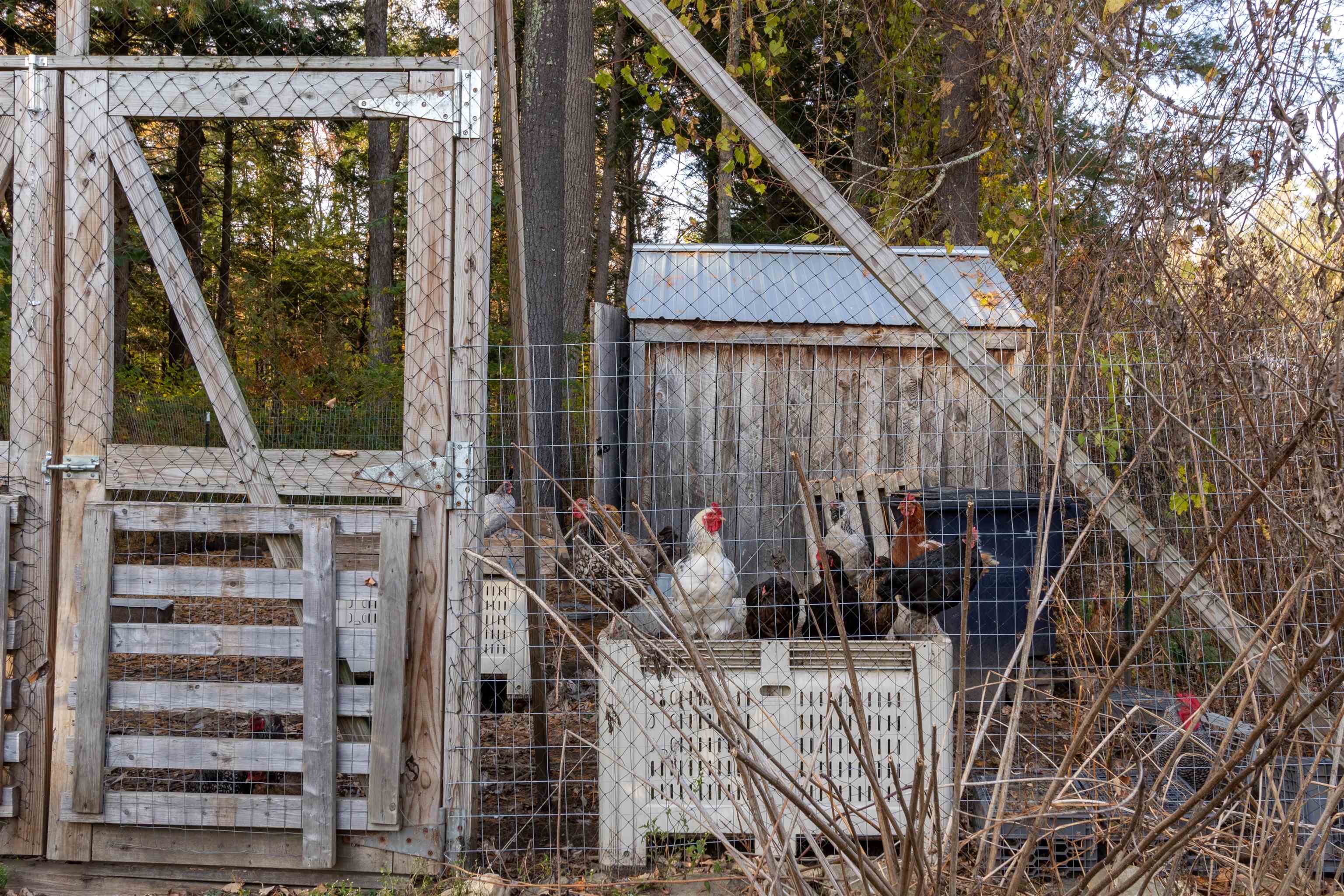 95 Middletown Road Londonderry, VT 05155 - Photo 29 of 49