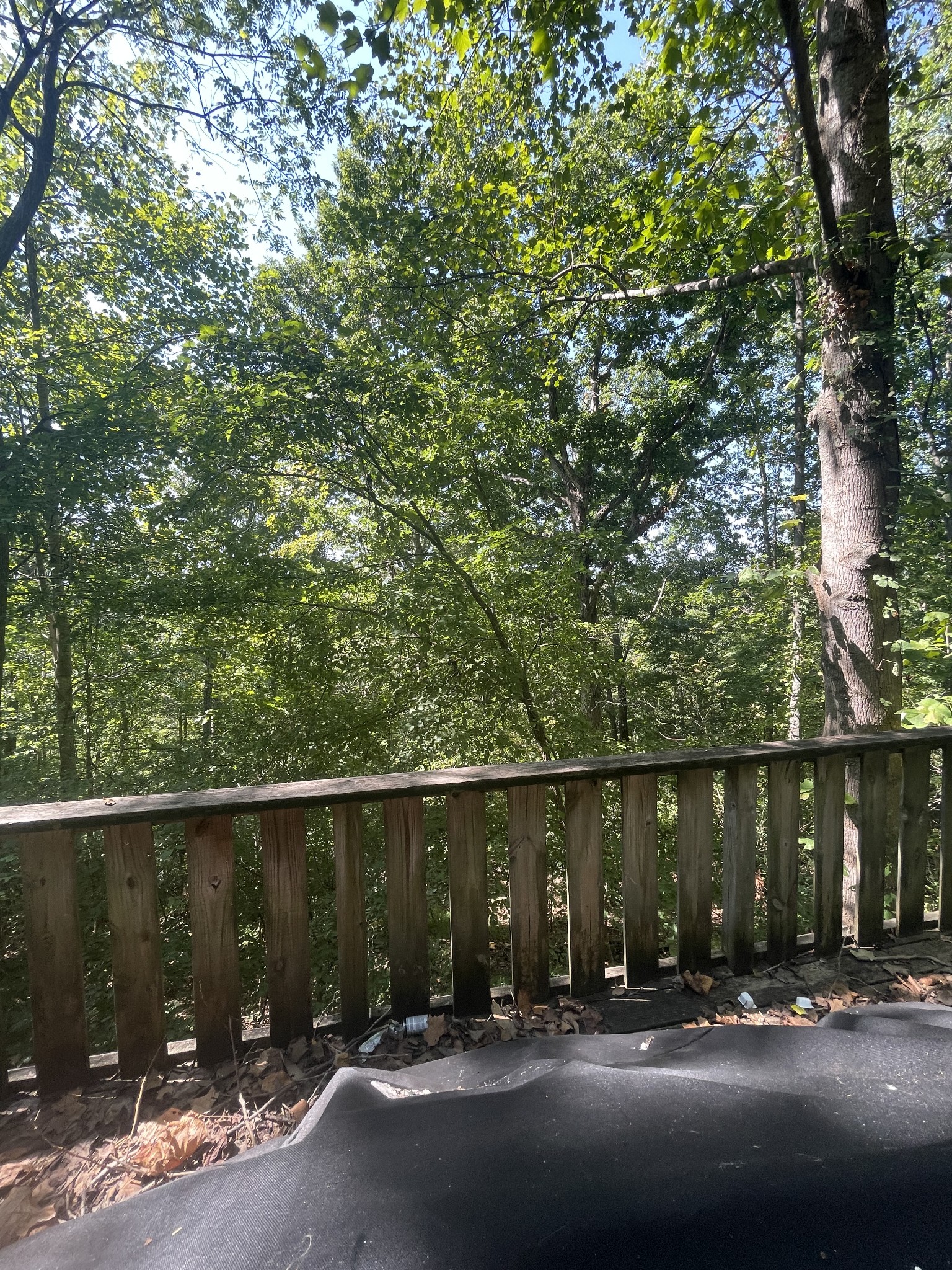 140 Redneck Road Ashland City, TN 37015 - Photo 6 of 7 Gallery Image 6