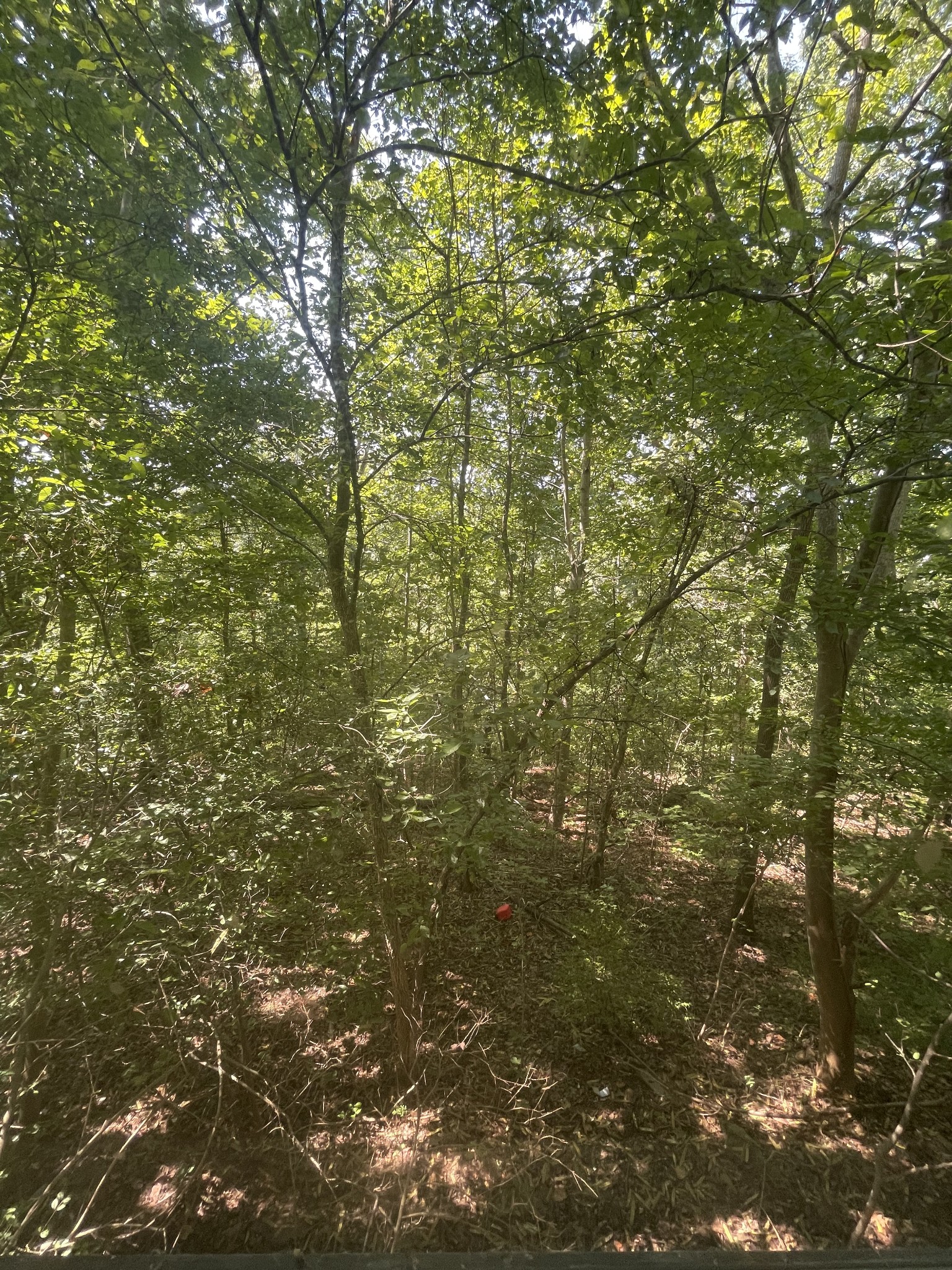 140 Redneck Road Ashland City, TN 37015 - Photo 7 of 7 Gallery Image 7