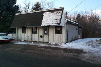 113 Superior Street Muir, MI 48860 - Photo 1 of 1 Primary Photo
