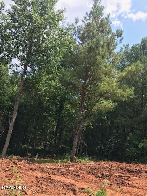 31 Ballplay Road Madisonville, TN 37354 - Photo 3 of 3 Gallery Image 3