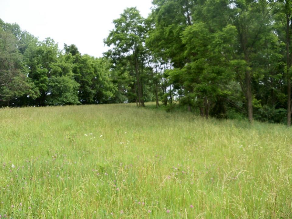 3112 North Warren Road Bloomfield, IN 47424 - Photo 29 of 33
