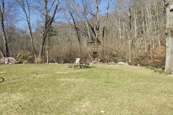 18 Riga Road Dover, MA 02030 - Photo 23 of 24 a view of yard with trees