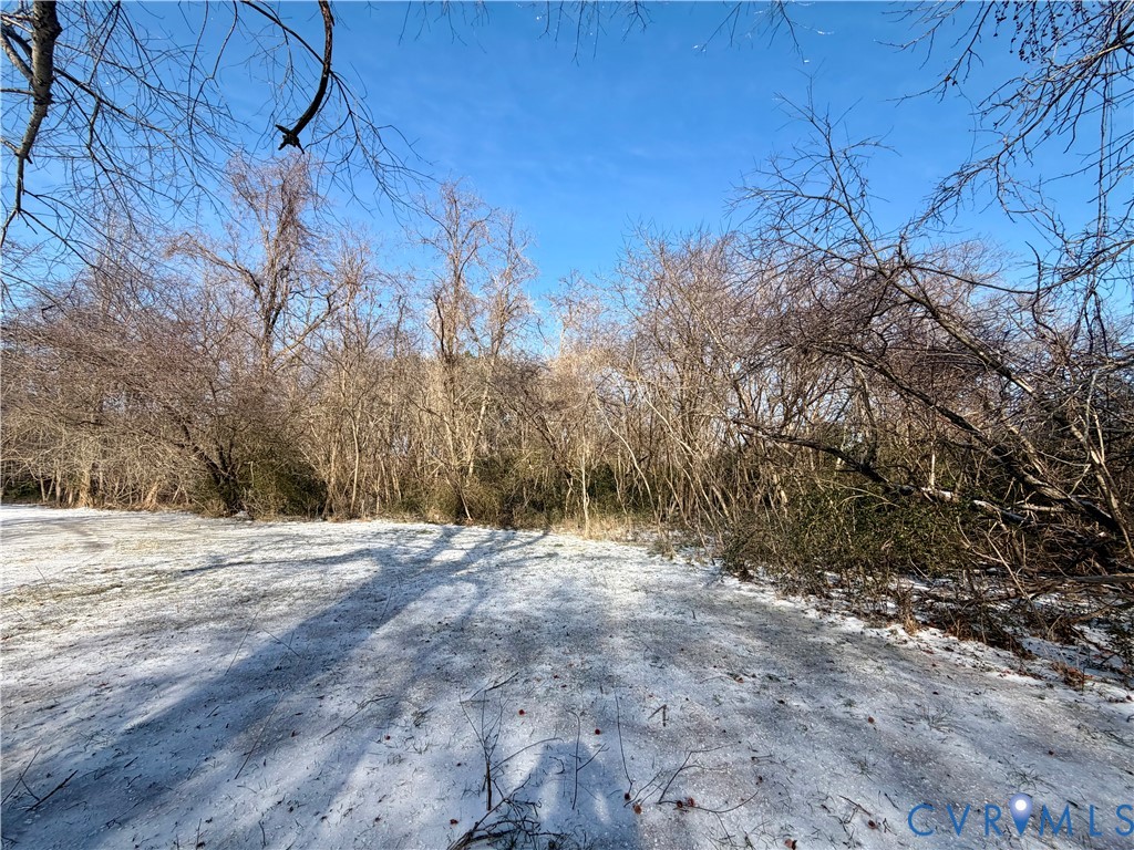 Tbd Blackberry Road Reedville, VA 22539 - Photo 11 of 11 a view of empty space with large trees
