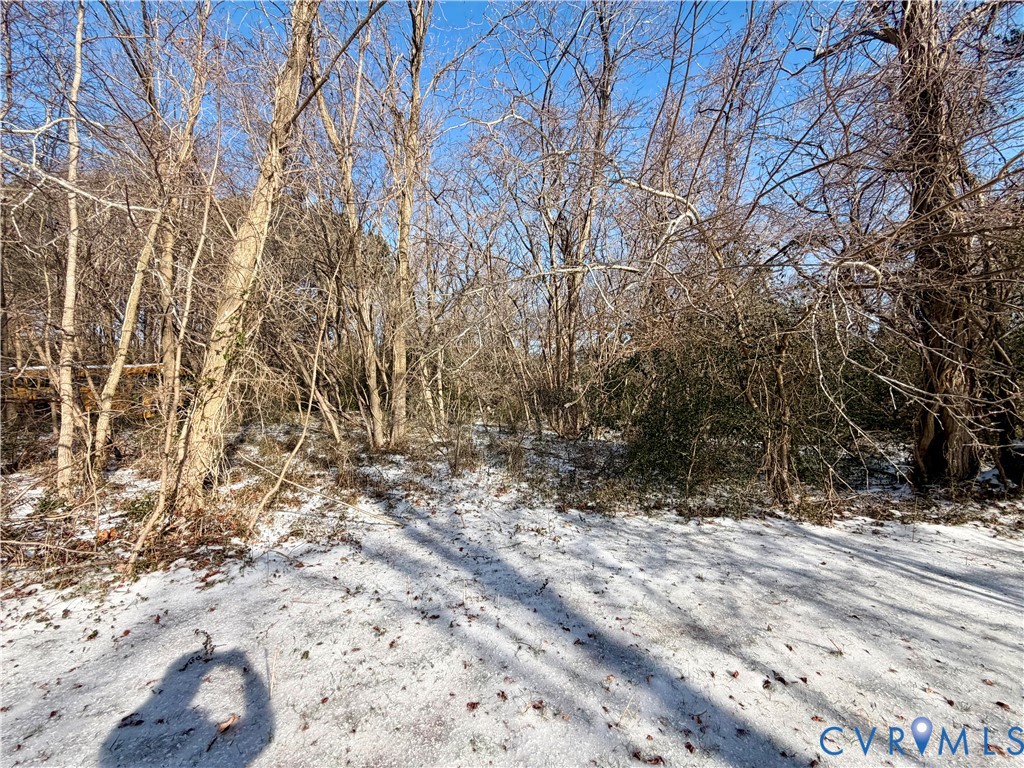 Tbd Blackberry Road Reedville, VA 22539 - Photo 7 of 11 a view of a yard with a tree