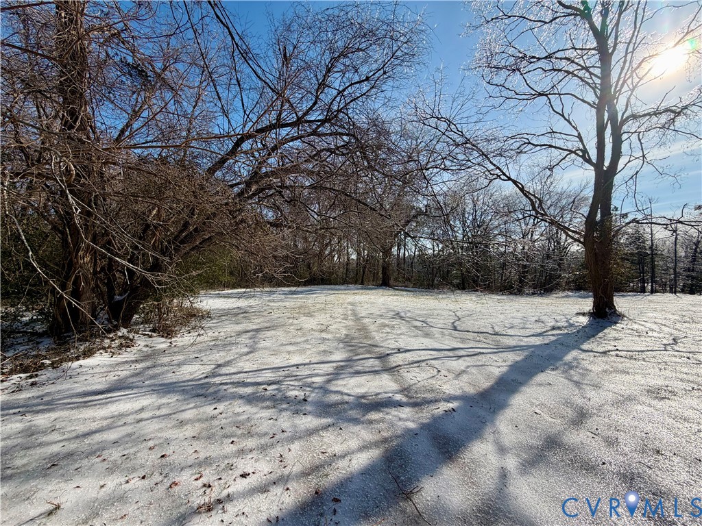 Tbd Blackberry Road Reedville, VA 22539 - Photo 9 of 11 a view of empty space with large trees