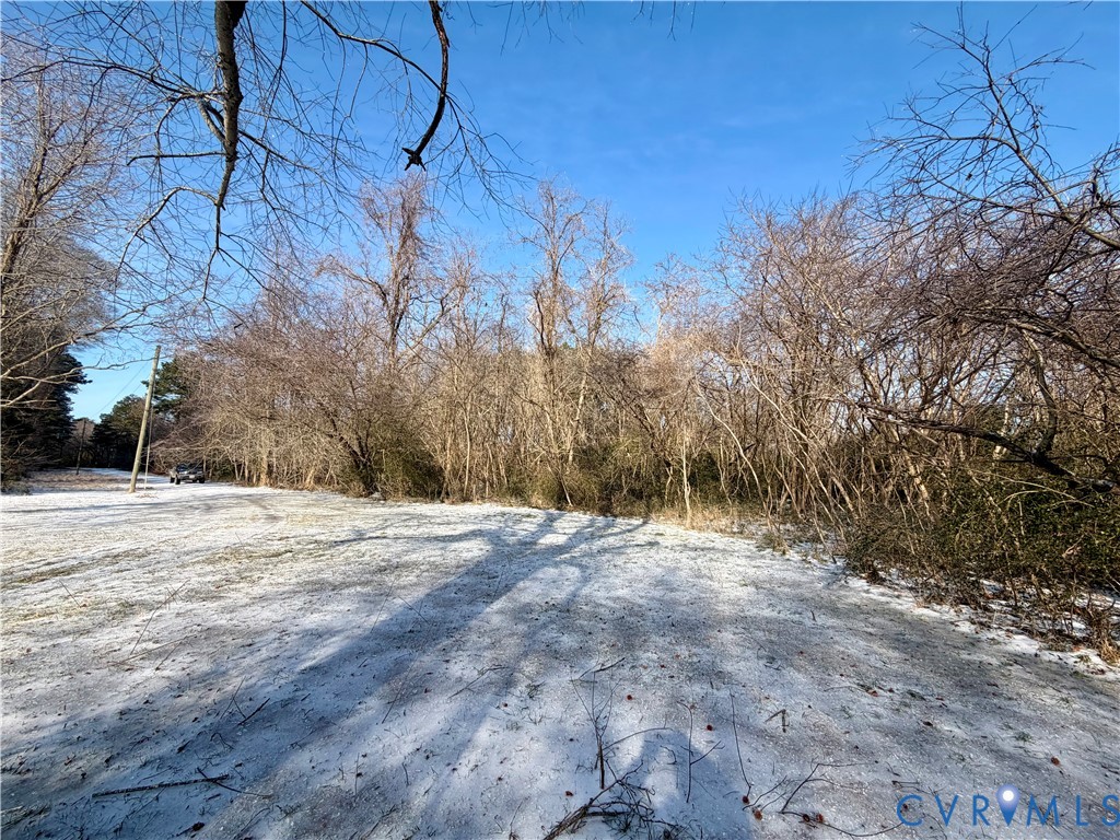 Tbd Blackberry Road Reedville, VA 22539 - Photo 10 of 11 a view of empty space with large trees
