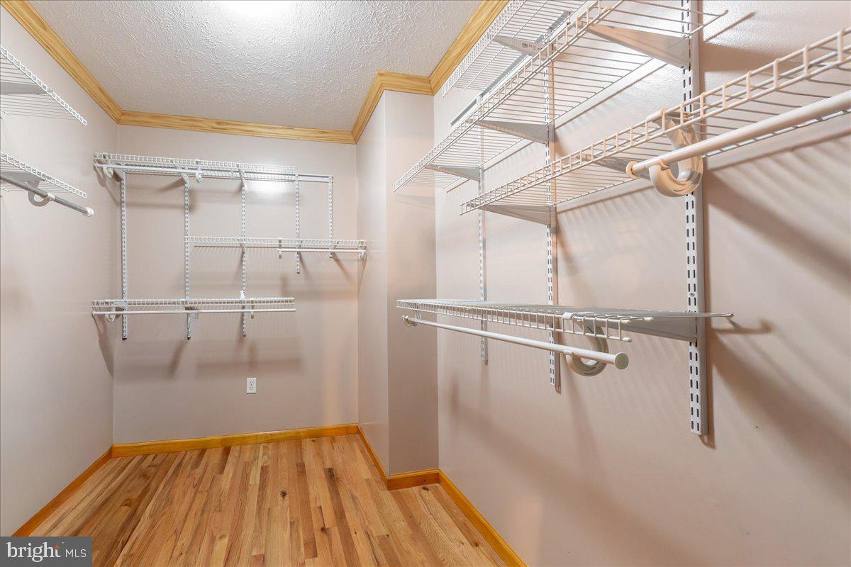 906 Cauthorn Mill Road Middletown, VA 22645 - Photo 26 of 47