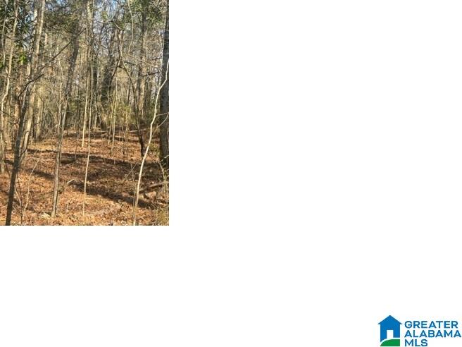 Saturn Drive, Unit 45 Alpine, AL 35014 - Photo 1 of 1