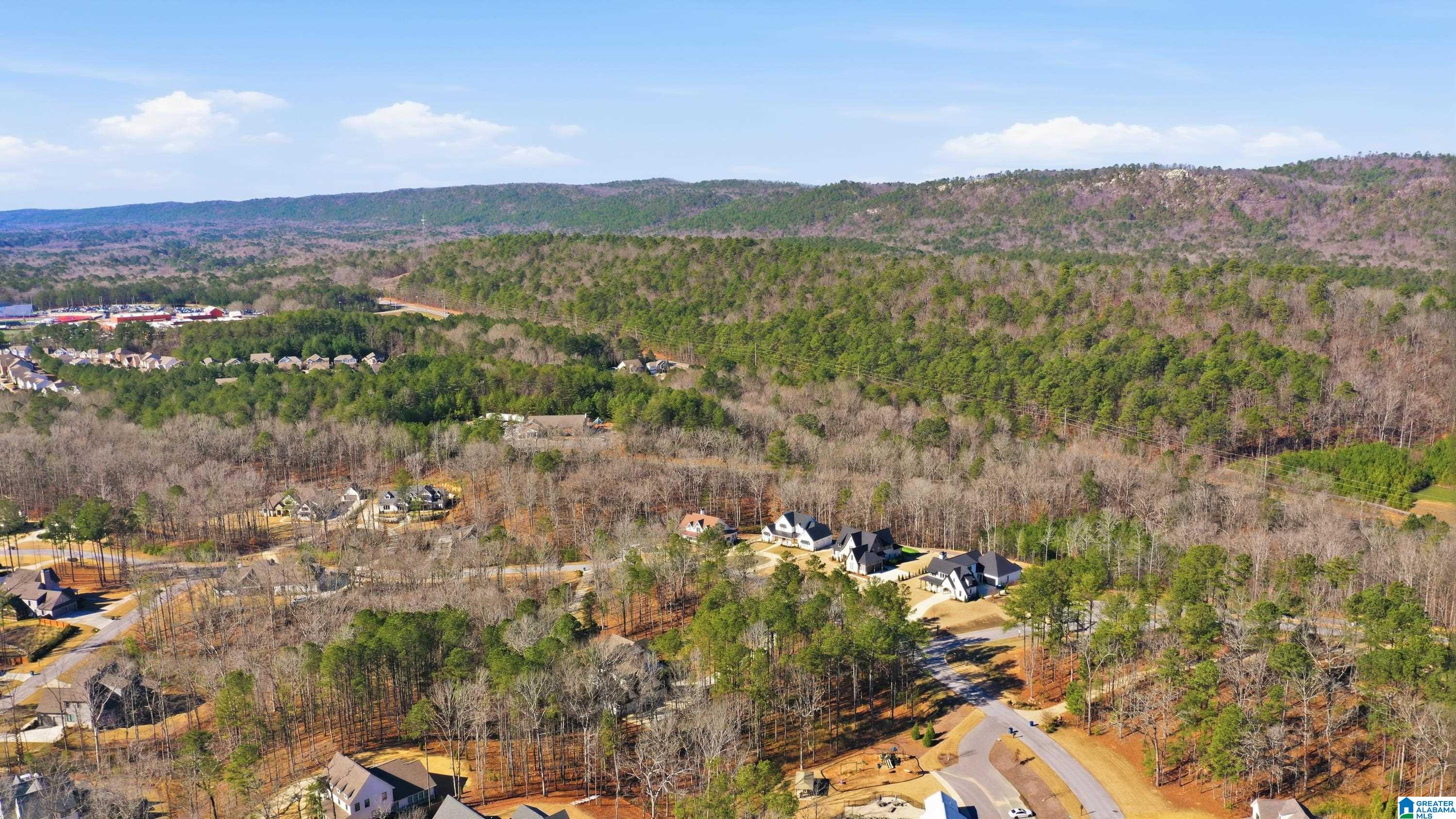 300 Timberview Trail Chelsea, AL 35043 - Photo 64 of 71