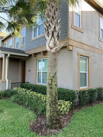 a house that has a tree in front of the house