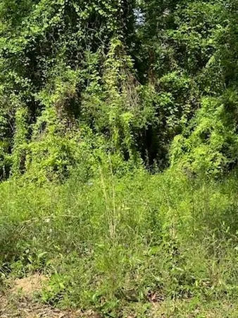 $58,900 | 0 Chemekette Road, Robert, LA 70455