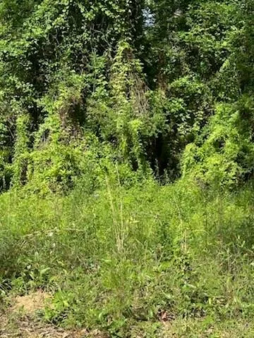 $58,900 | 0 Chemekette Road, Robert, LA 70455