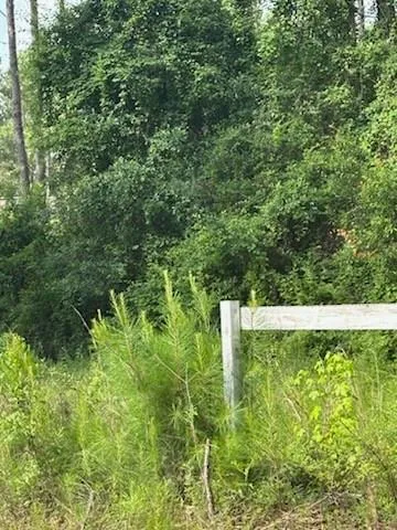 $58,900 | 0 Chemekette Road, Robert, LA 70455