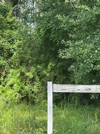 $58,900 | 0 Chemekette Road, Robert, LA 70455