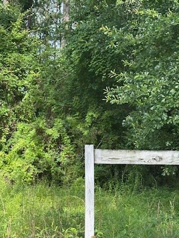 0 Chemekette Road Robert, LA 70455 - Photo 4 of 6