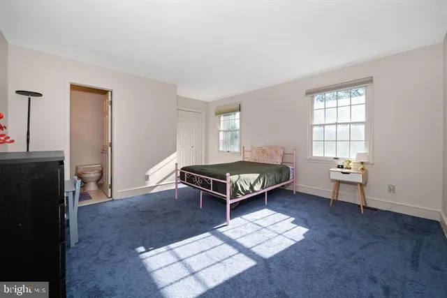 a view of a yard in front of a house with plants and large tree