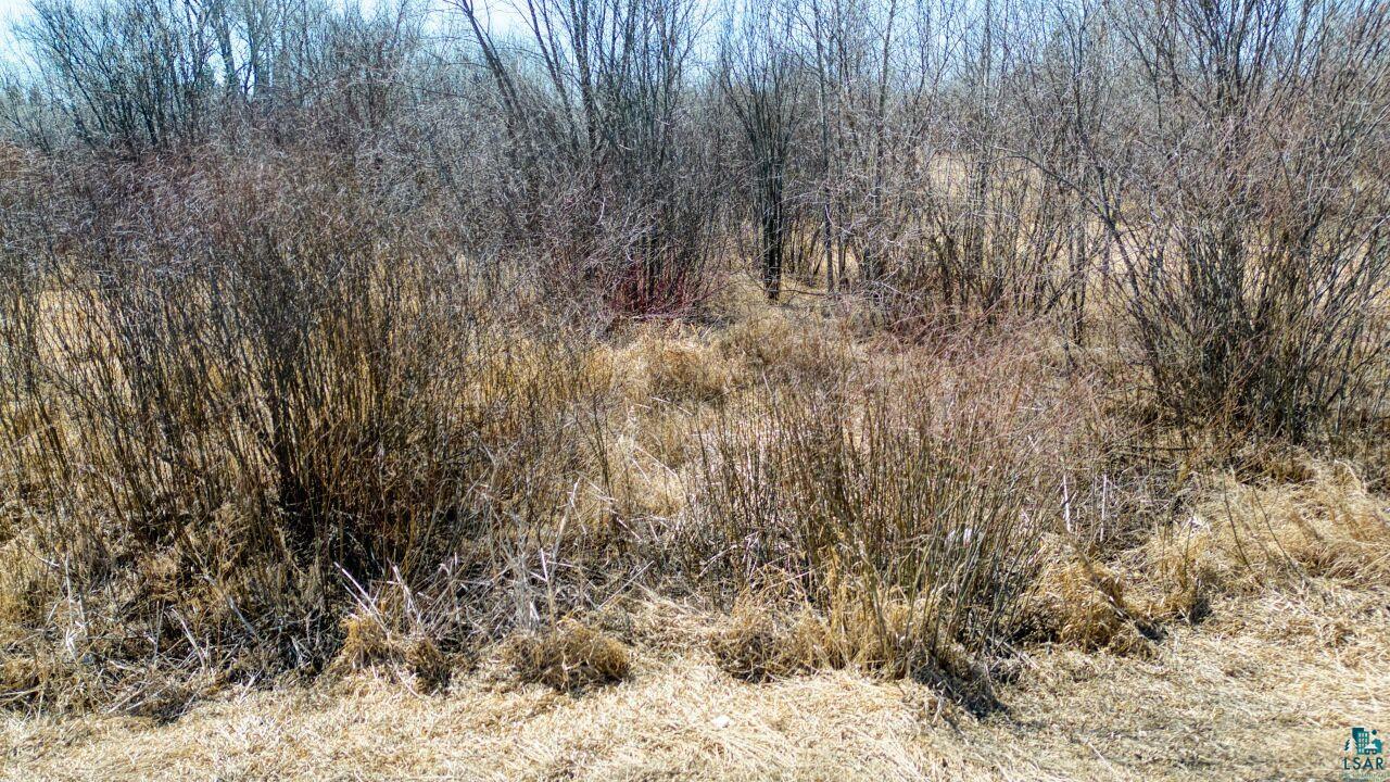 Tbd West 37th Street Hibbing, MN 55746 - Photo 8 of 13