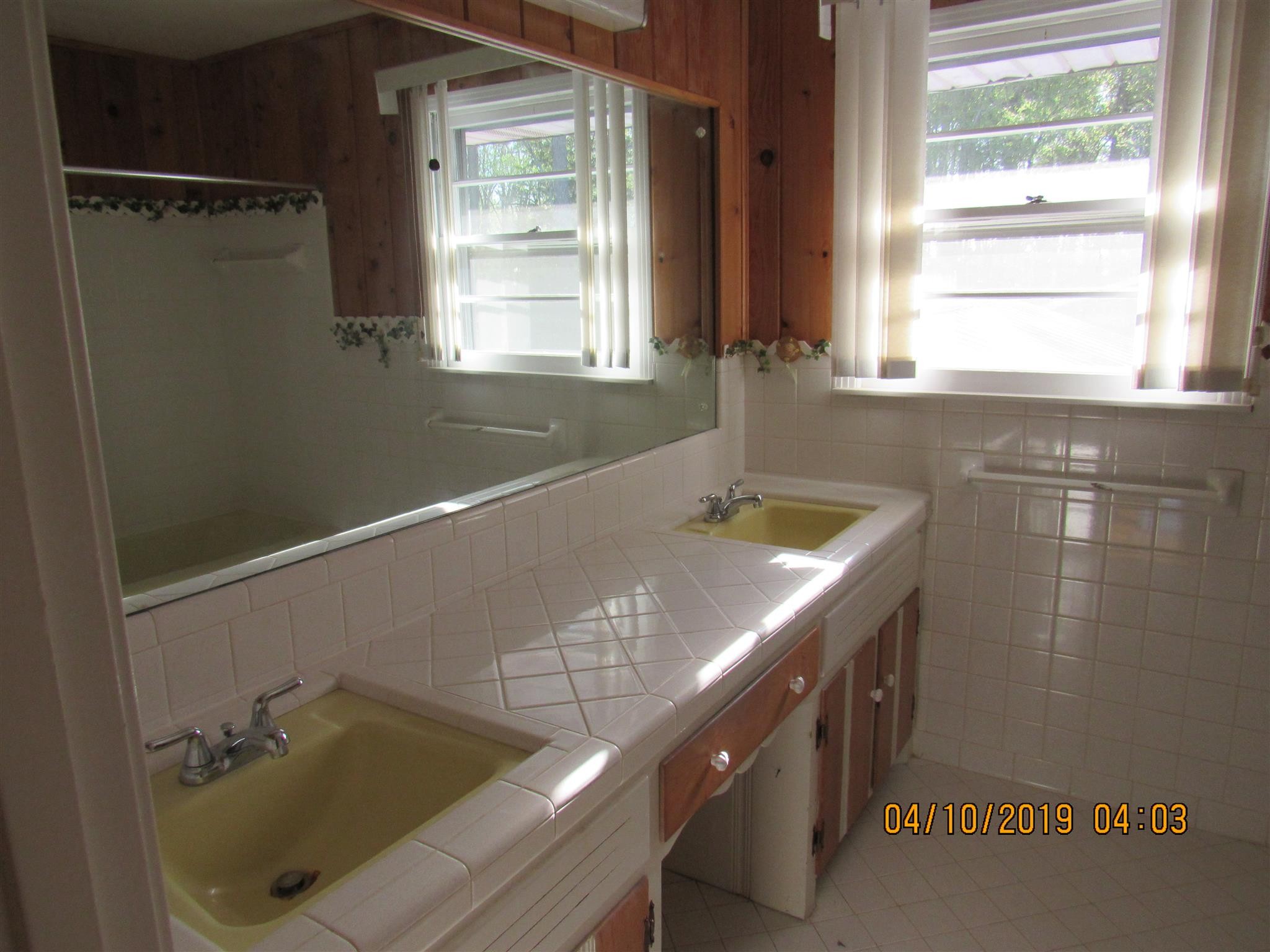 244 Pine Thicket Road McEwen, TN 37101 - Photo 26 of 26 a bathroom with a tub a sink and window
