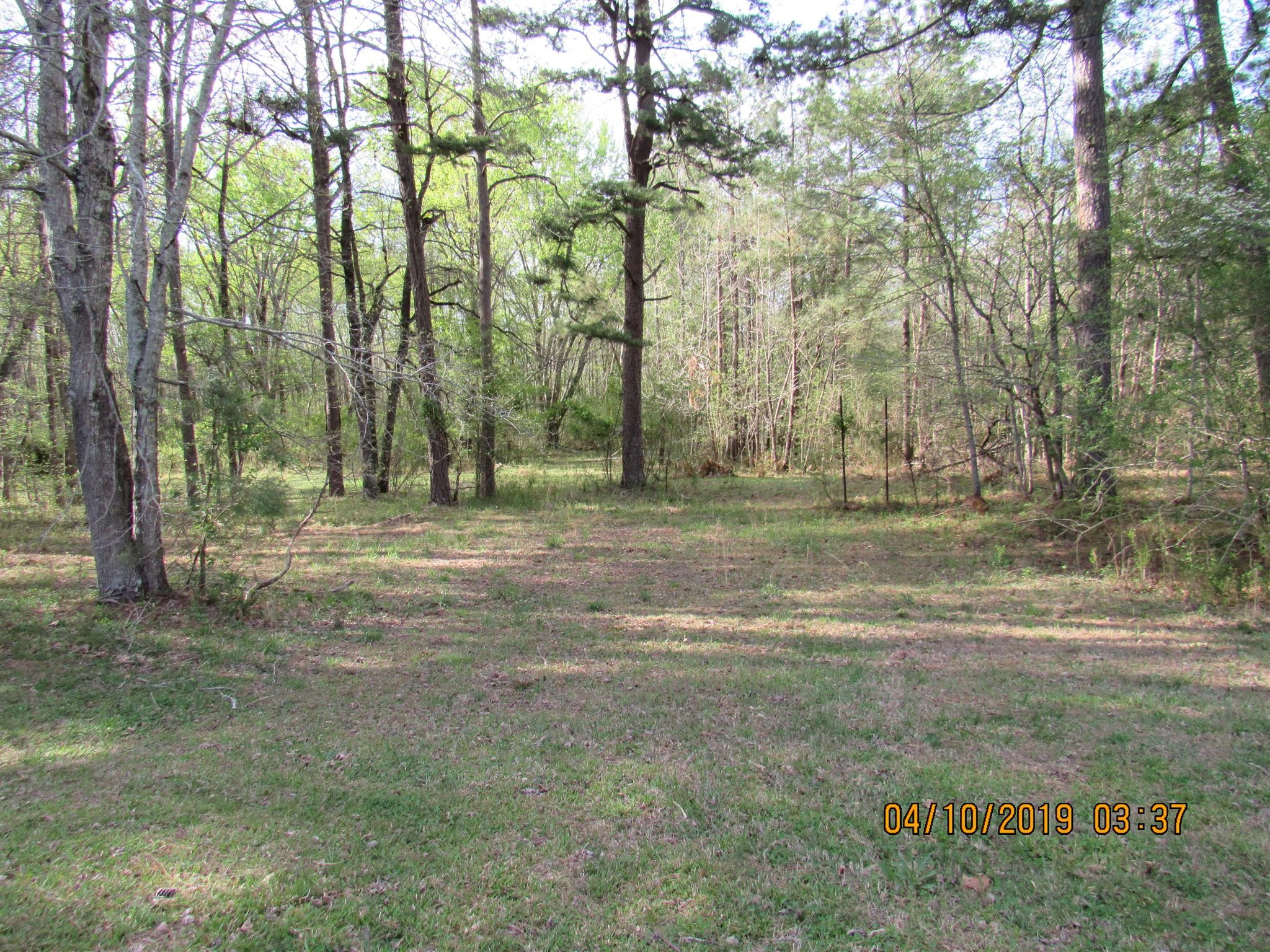 244 Pine Thicket Road McEwen, TN 37101 - Photo 9 of 26 a backyard of a house with lots of green space