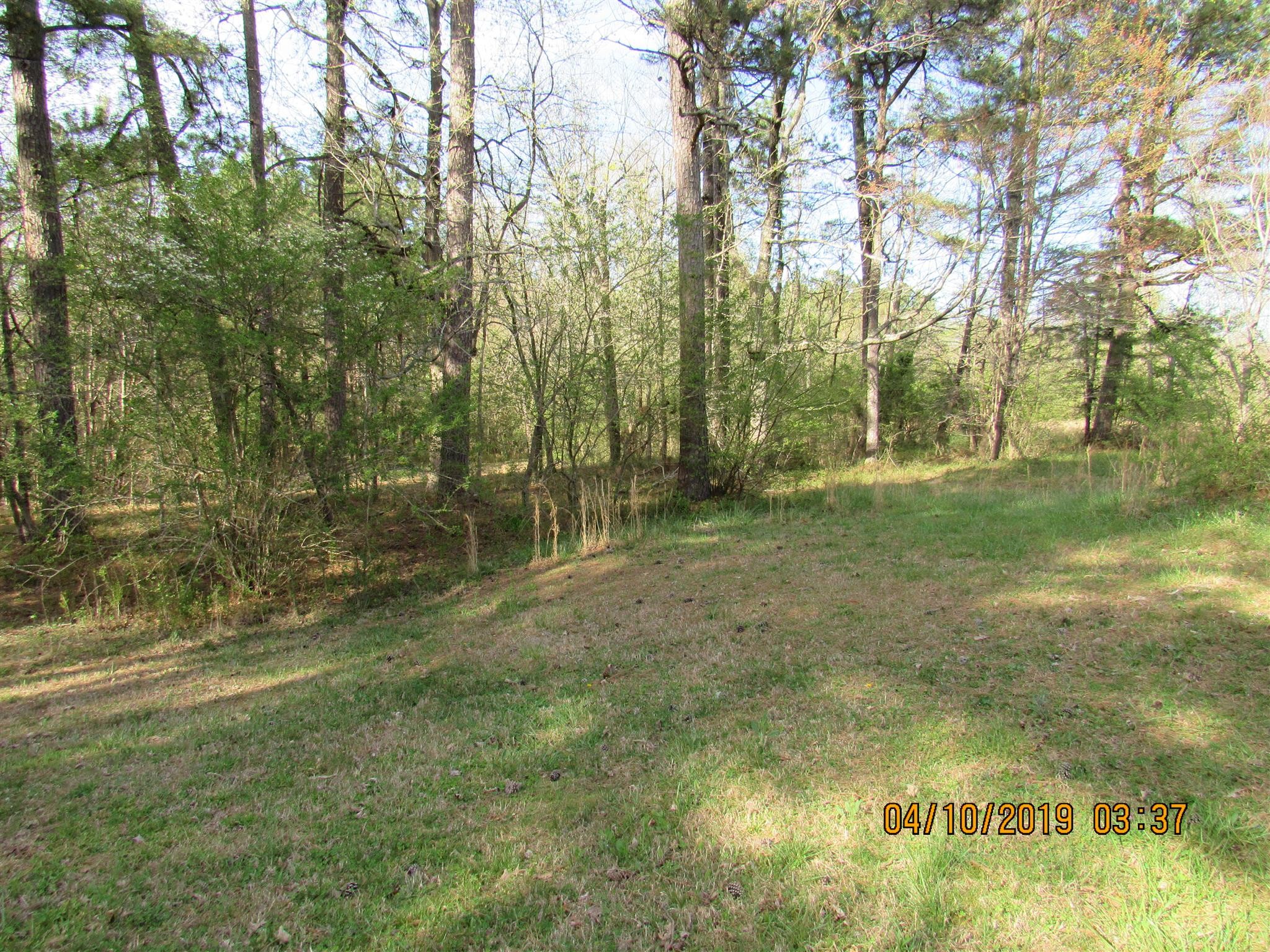 244 Pine Thicket Road McEwen, TN 37101 - Photo 10 of 26 a view of outdoor space with trees all around
