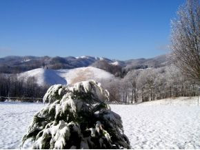 505 Fred Wallace Road Trade, TN 37691 - Photo 14 of 17 Photo 14