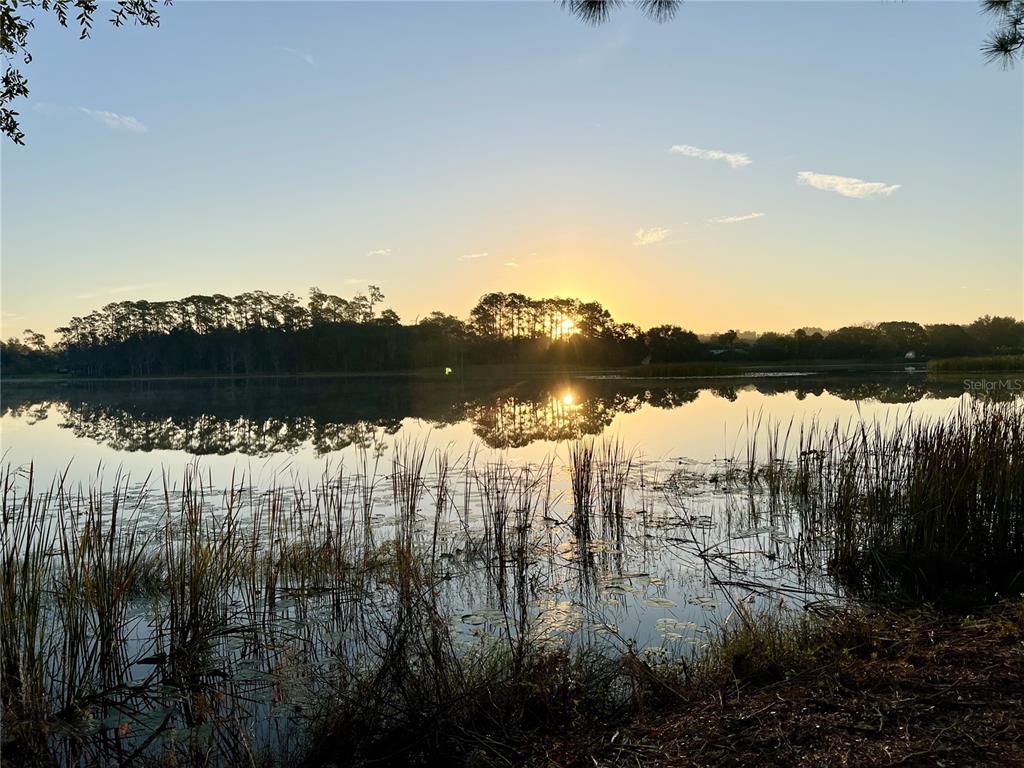 1499 Murphy Road Pierson, FL 32180 - Photo 3 of 4 a view of lake with houses