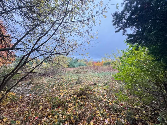 $150,000 | 4496 North 172nd Avenue, Walkerville, MI 49459