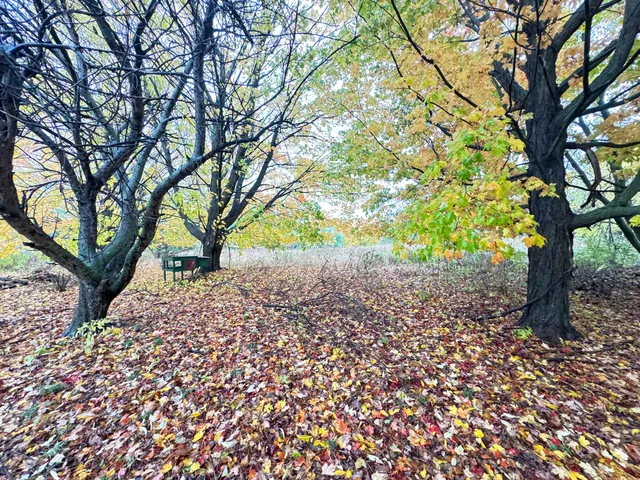 $150,000 | 4496 North 172nd Avenue, Walkerville, MI 49459