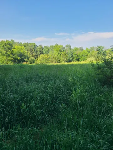 $150,000 | 4496 North 172nd Avenue, Walkerville, MI 49459