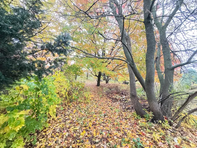 $150,000 | 4496 North 172nd Avenue, Walkerville, MI 49459