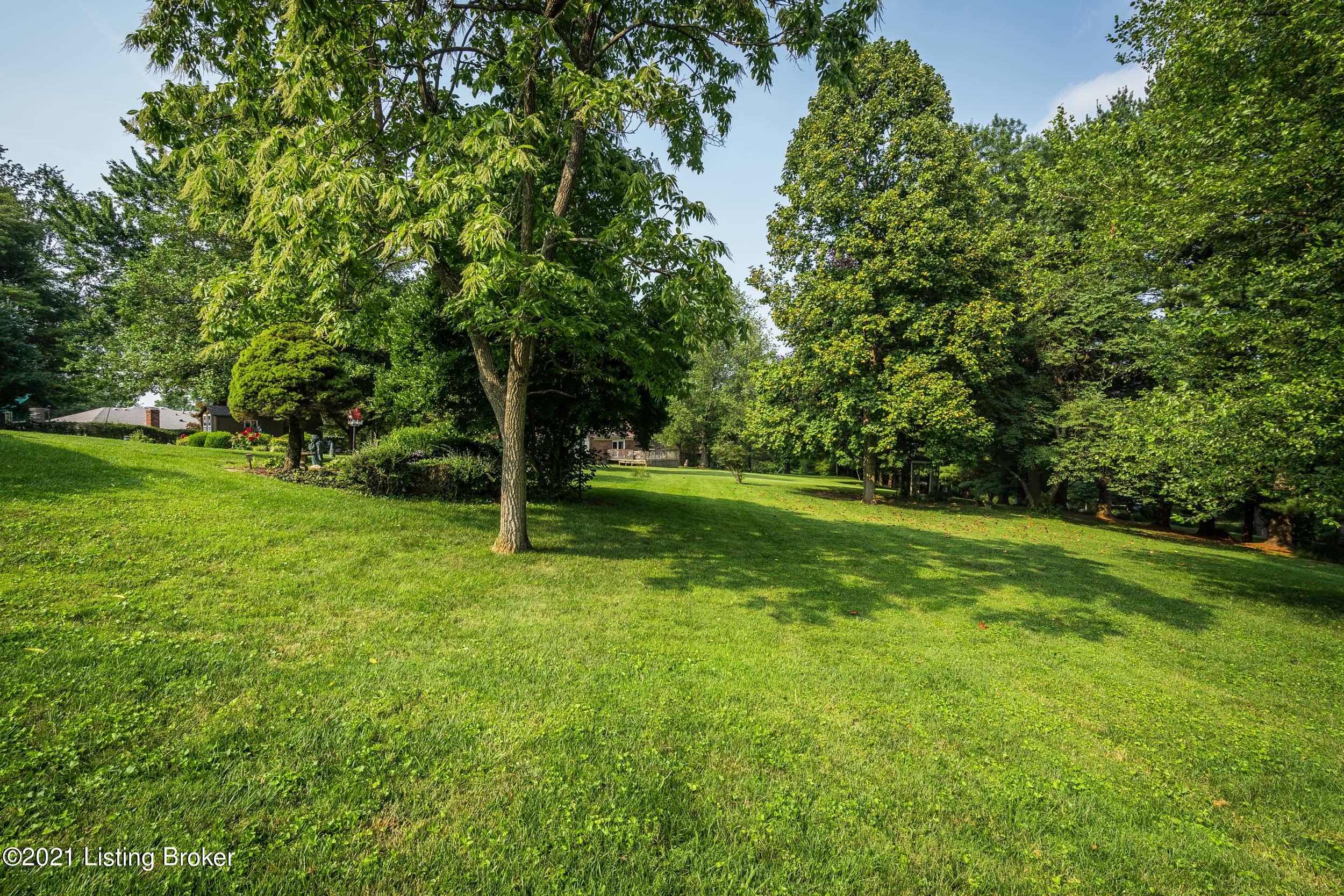 3503 Raintree Court Prospect, KY 40059 - Photo 7 of 45 3503 Raintree Ct-08