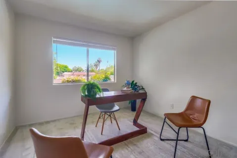 a dining room with furniture a rug and a potted plant