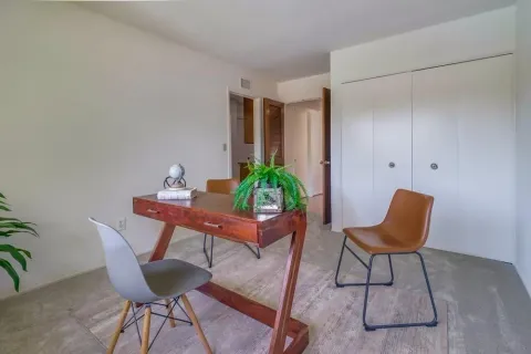 a room with furniture and a potted plant