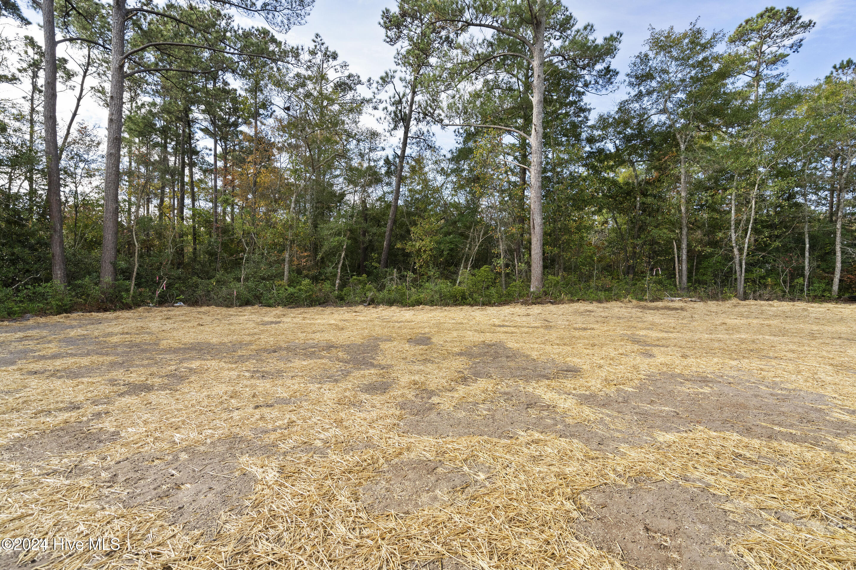 331 A Masters Lane Hampstead, NC 28443 - Photo 50 of 53 mls-DSC09873