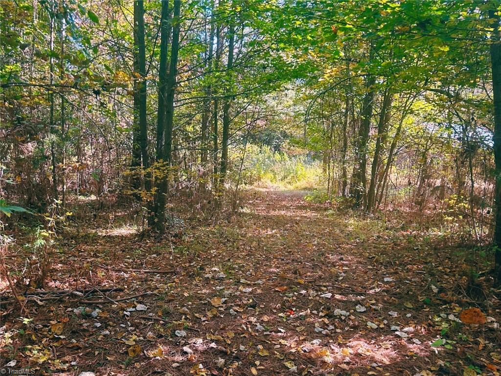 0 Zimmerman Road Blanch, NC 27212 - Photo 8 of 27 Gallery Image 8