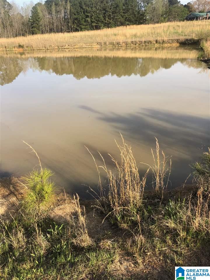 0 Deaver Walker Road, Unit 16 Cleveland, AL 35049 - Photo 5 of 11