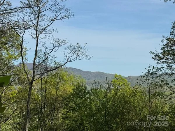 a view of mountain view with lots of trees