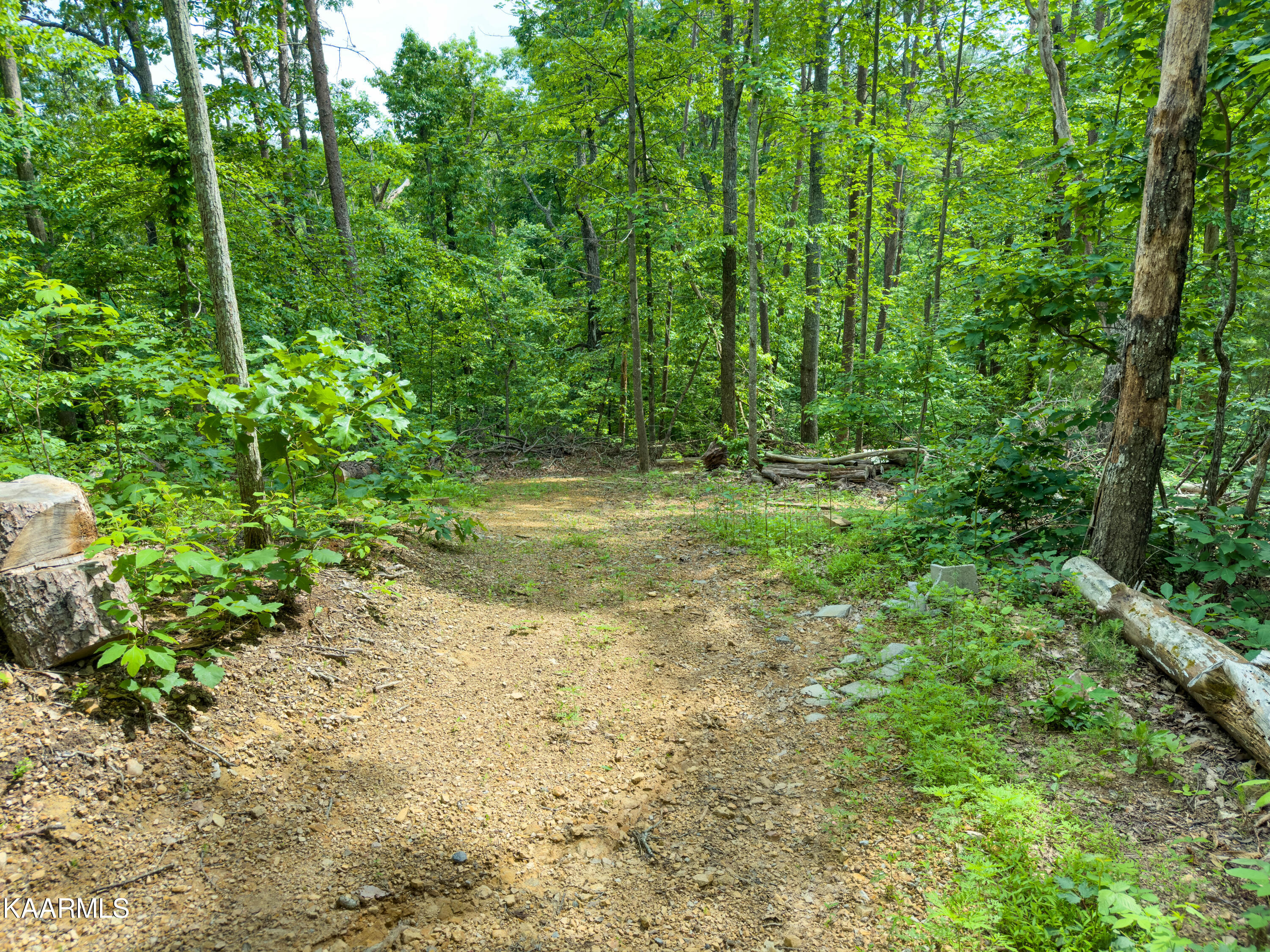 1466 Estates Drive Seymour, TN 37865 - Photo 24 of 34 IMG_1471