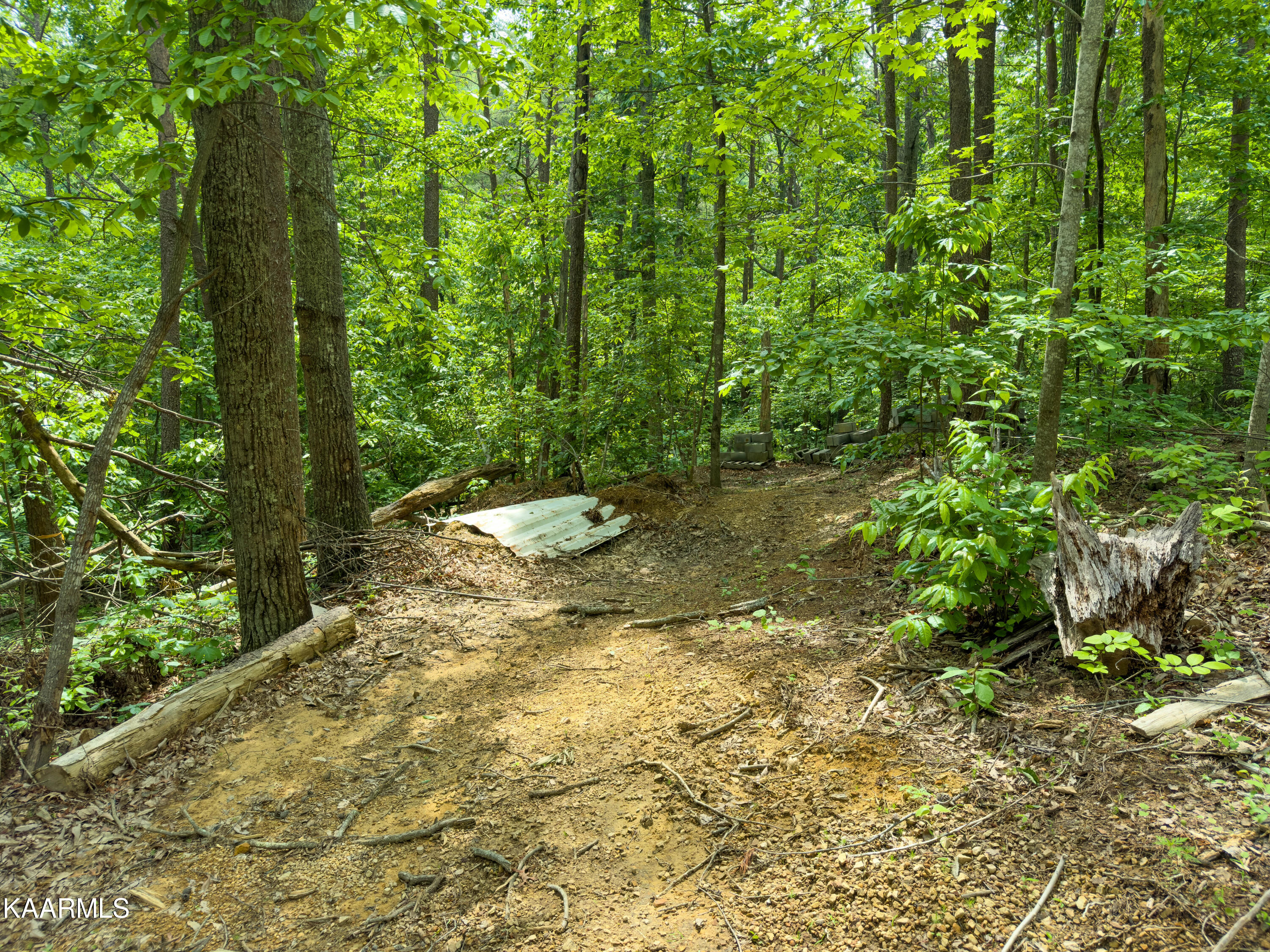 1466 Estates Drive Seymour, TN 37865 - Photo 25 of 34 IMG_1472