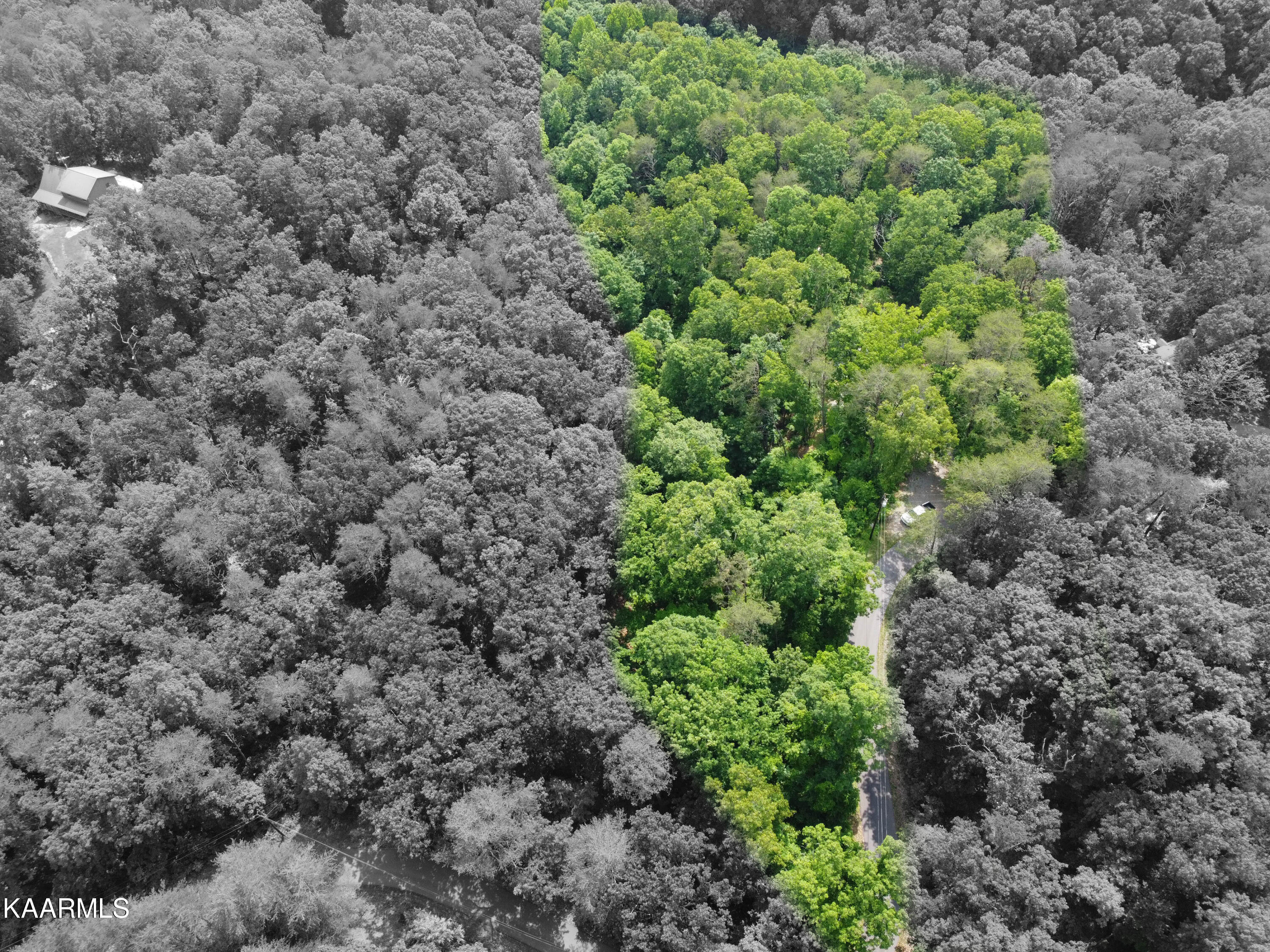 1466 Estates Drive Seymour, TN 37865 - Photo 29 of 34 IMG_1480