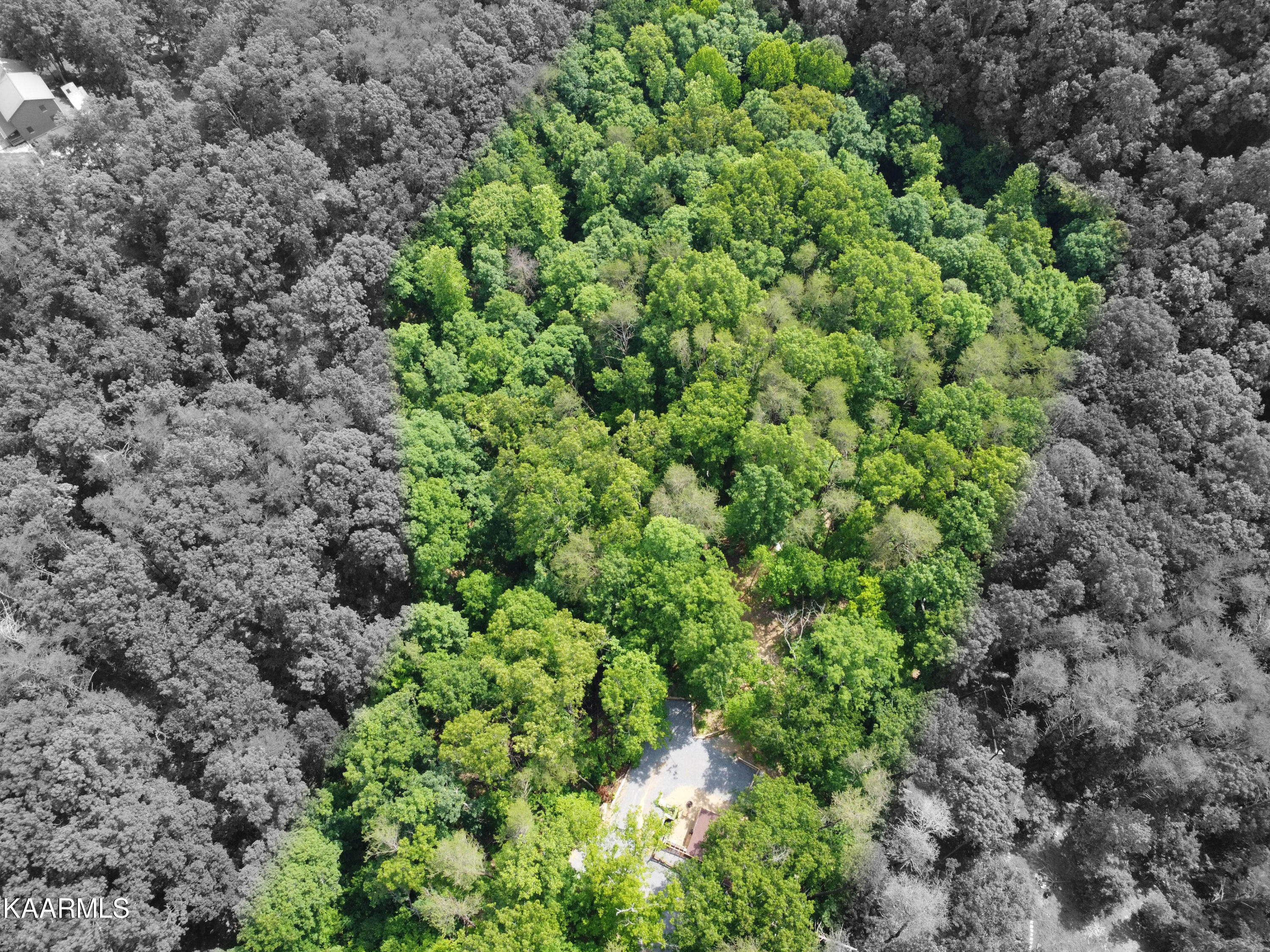 1466 Estates Drive Seymour, TN 37865 - Photo 30 of 34 IMG_1486