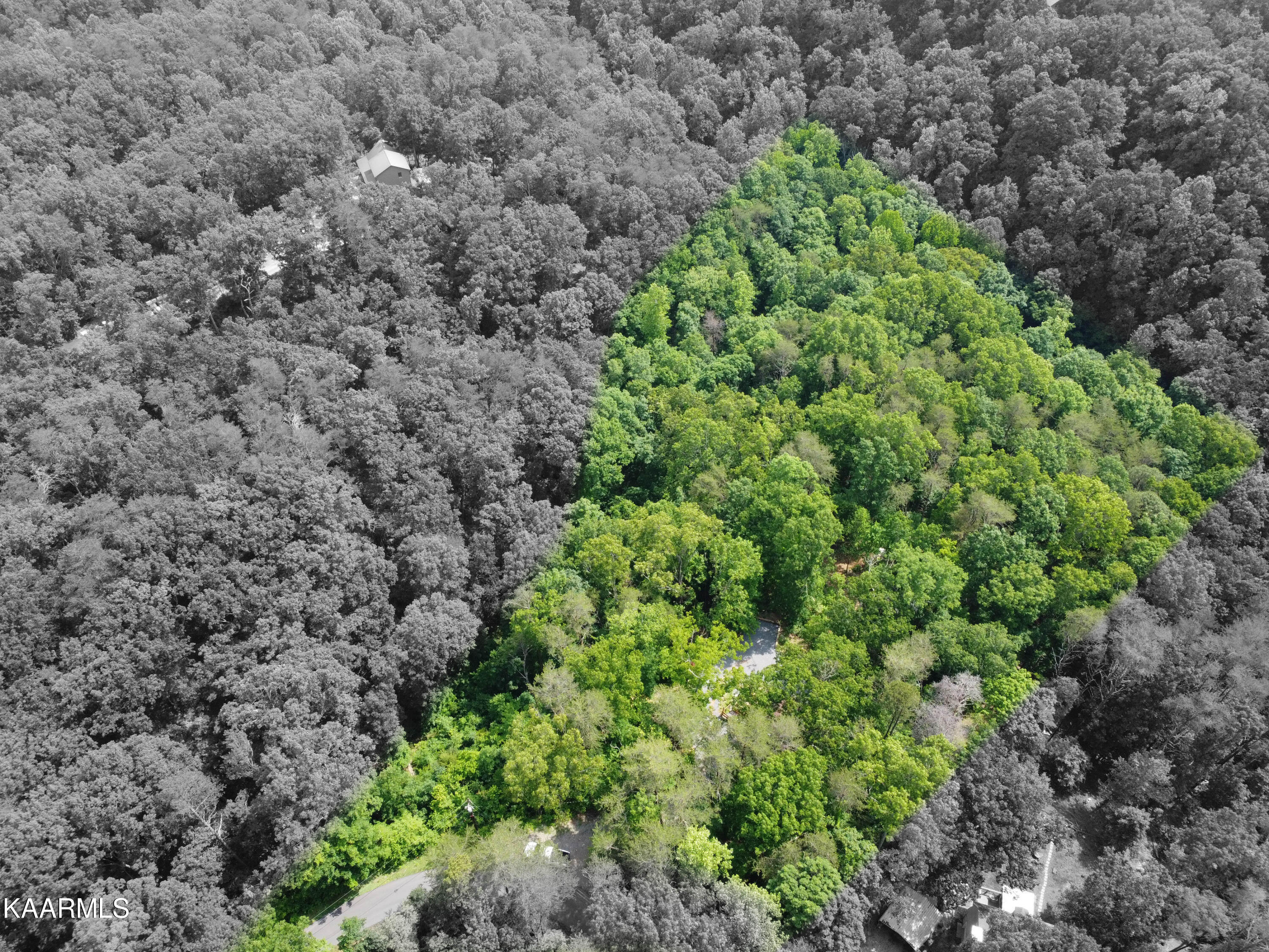 1466 Estates Drive Seymour, TN 37865 - Photo 31 of 34 IMG_1487