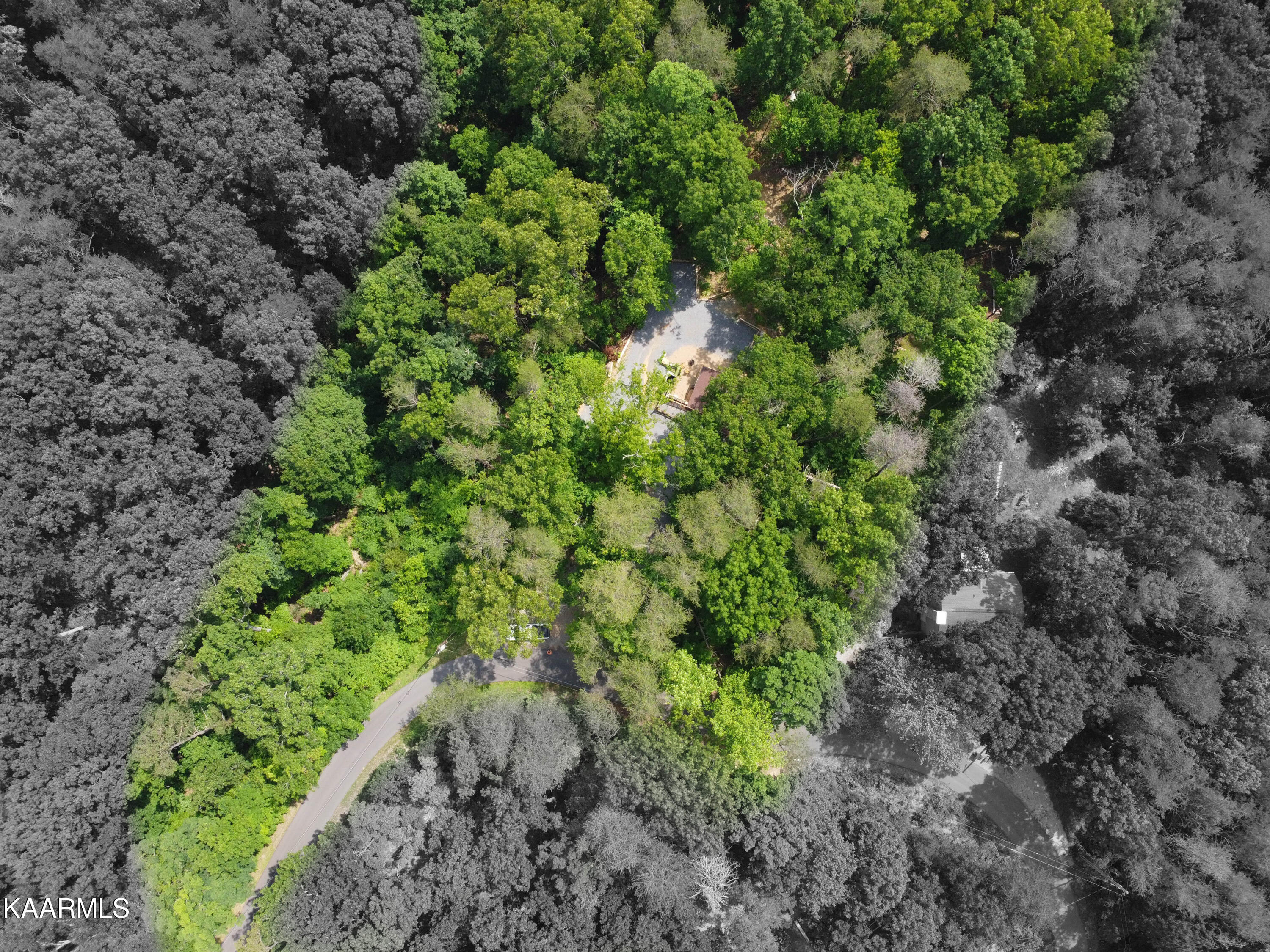 1466 Estates Drive Seymour, TN 37865 - Photo 32 of 34 IMG_1492