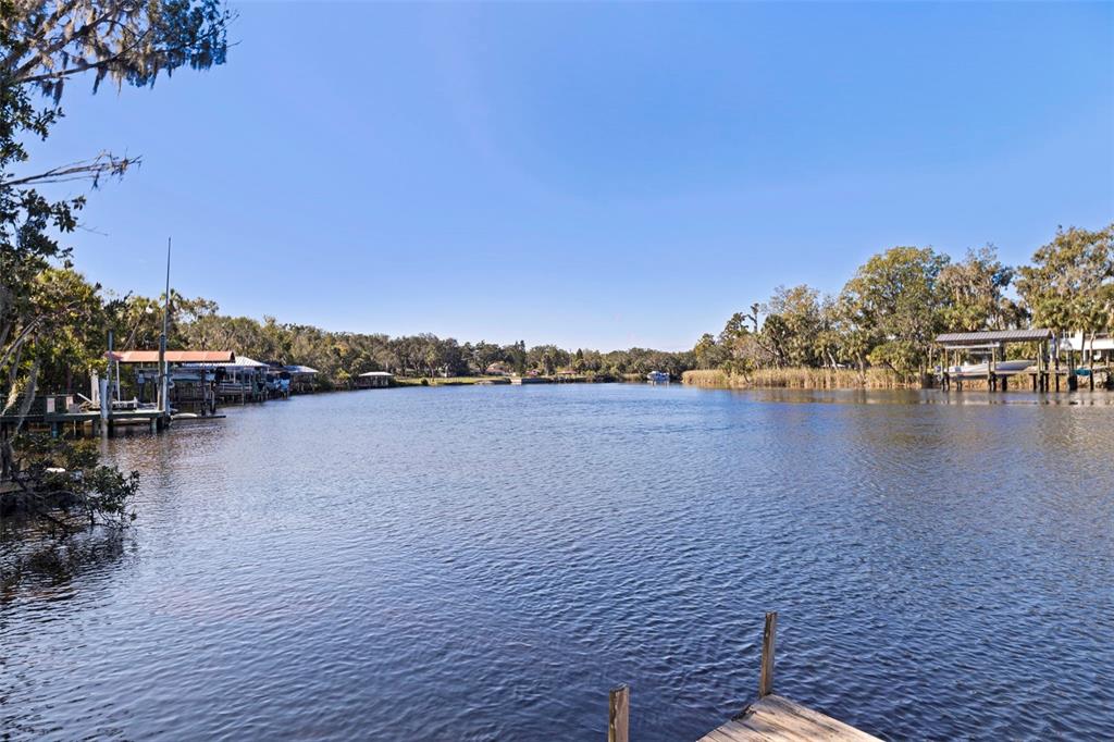 8609 Stoner Road Riverview, FL 33569 - Photo 51 of 66