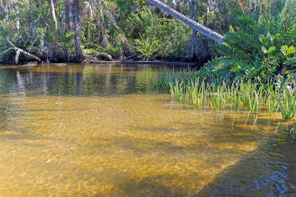 8609 Stoner Road Riverview, FL 33569 - Photo 53 of 66 a view of a lake with a yard