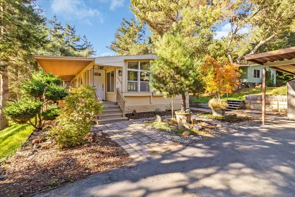 front view of a house with a tree