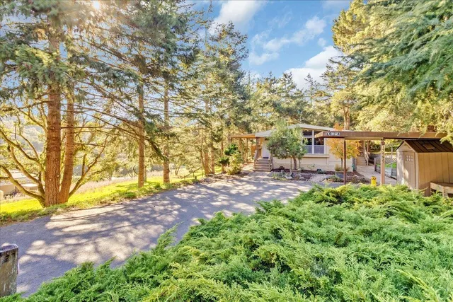 a view of backyard of house with green space