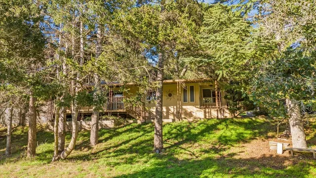 a view of a house with a tree